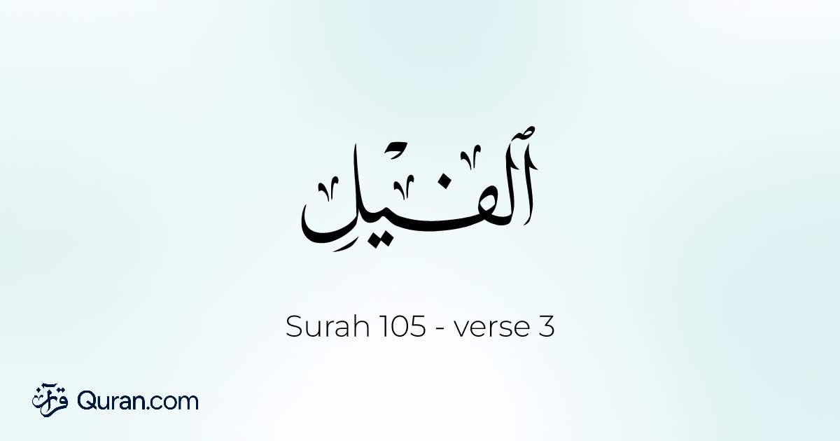 Tafsir de la sura Al-Fíl - 3 - Quran.com