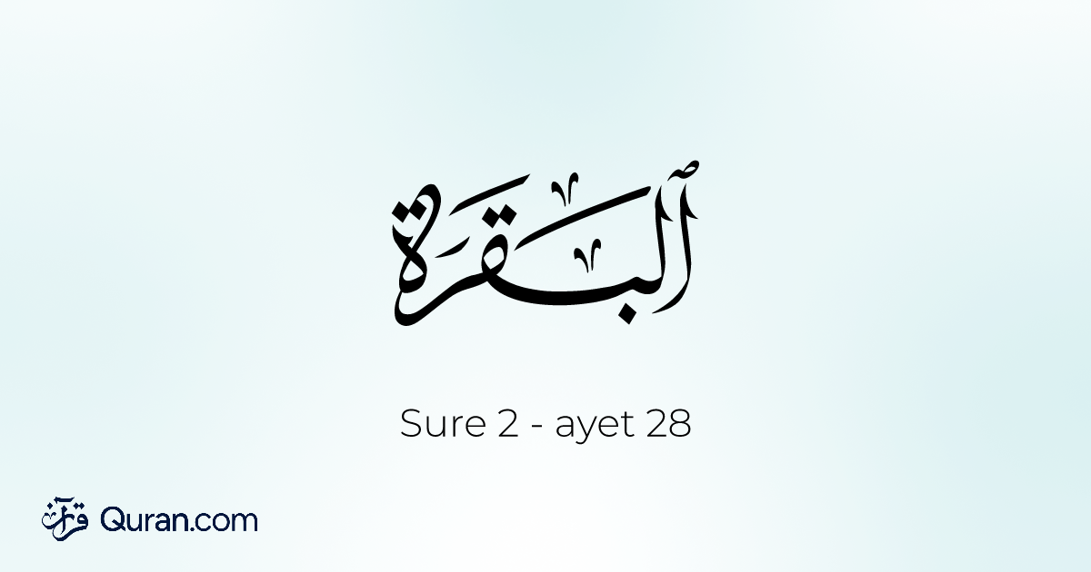 Sure Al-Baqarah Ayet 28 - Okumak, Dinle, Meal, Tefsir - quran-reader ...
