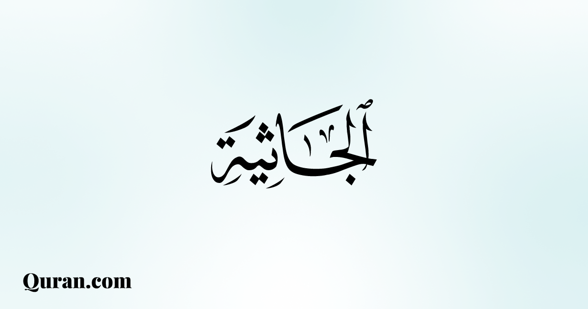 تفسير سورة الجاثية - ٢٨ - Quran.com